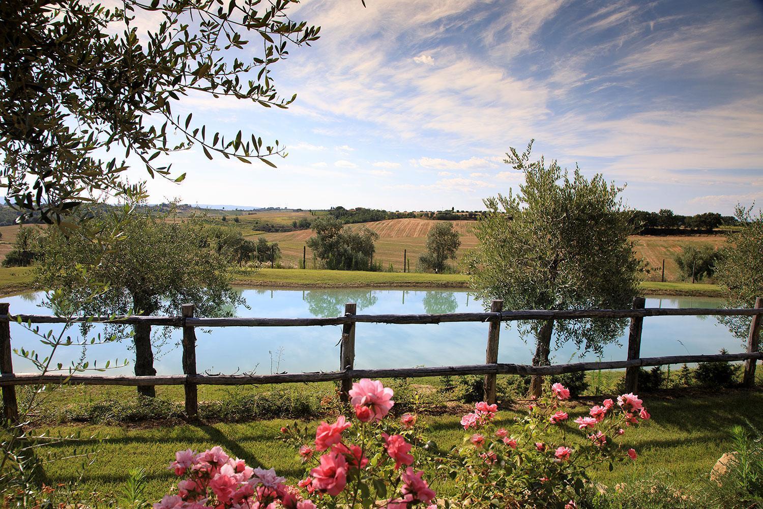 Ad My Apartment Cortona